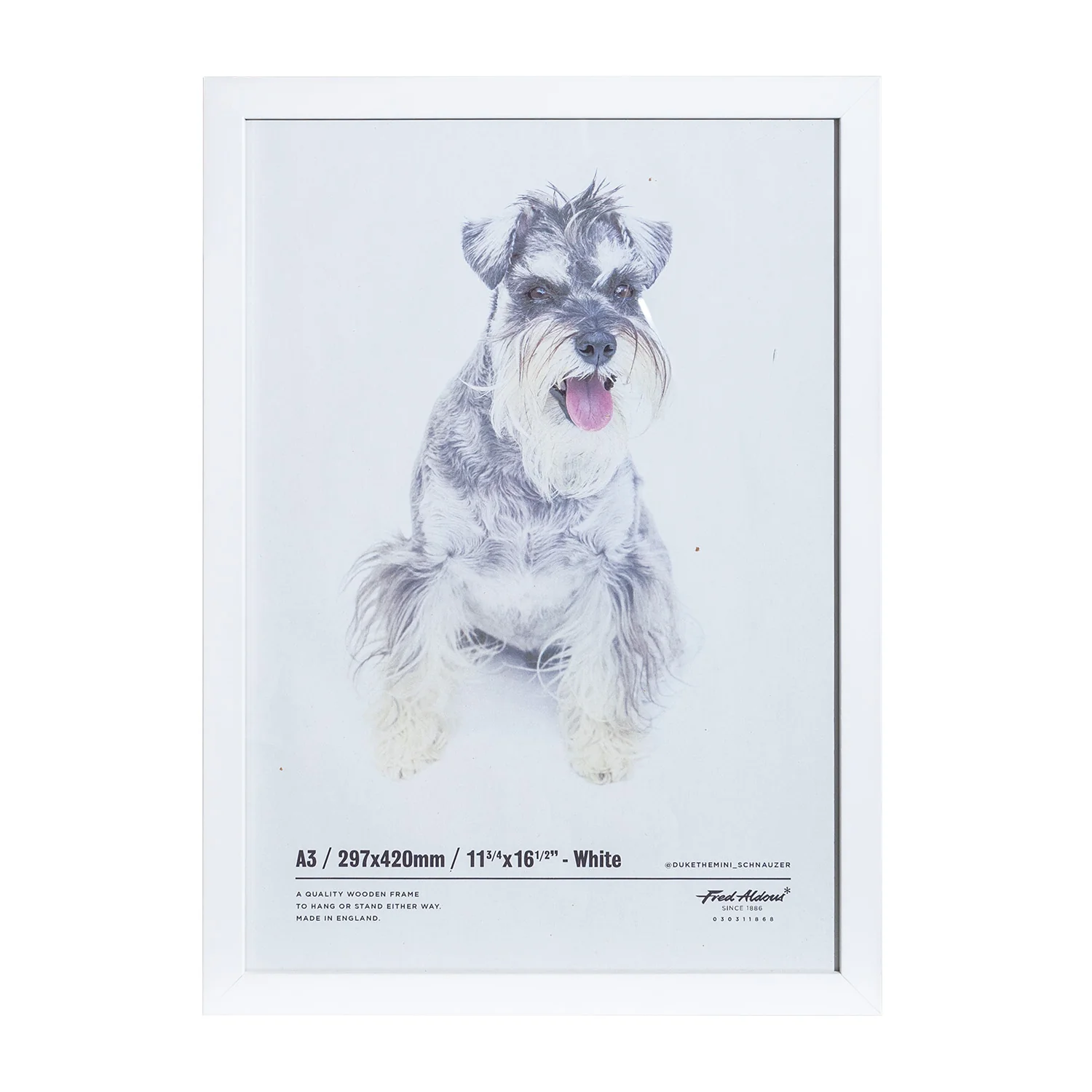 Picture Frame - White - A3