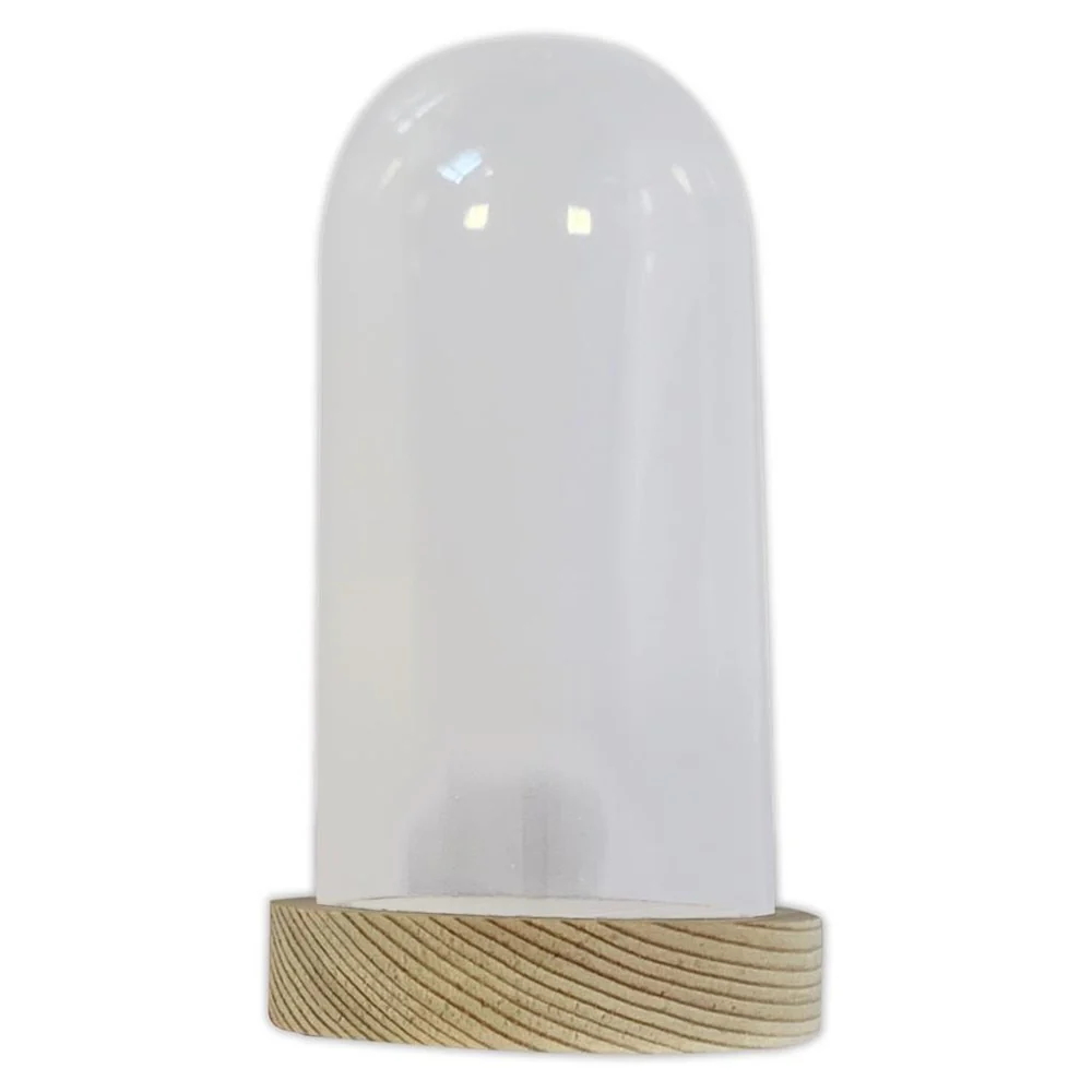 Plastic Cloche 6 x 12cm