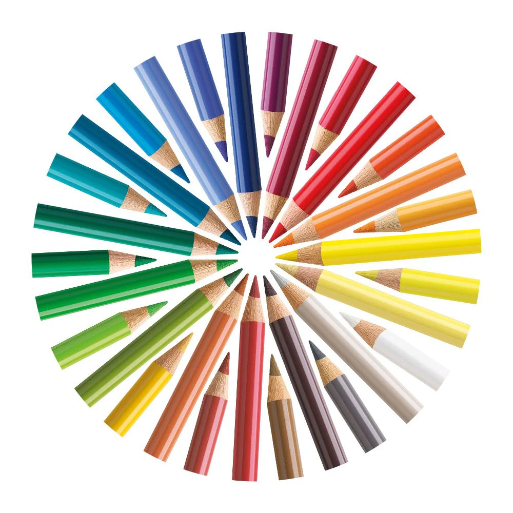 Polychromos Coloured Pencils