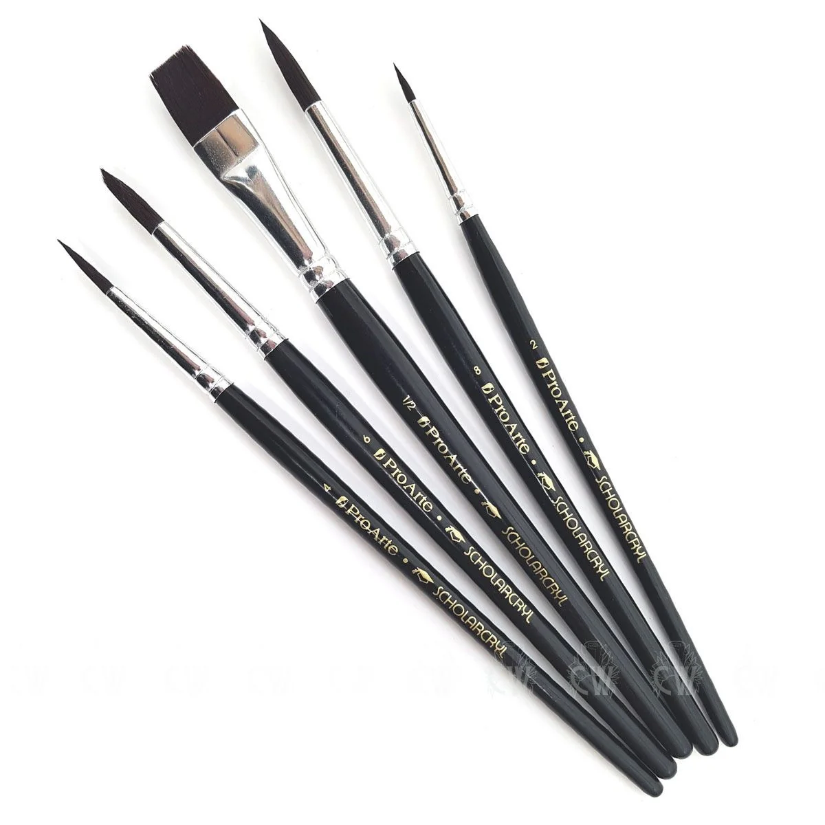 Pro Arte Scholarcryl 36WB