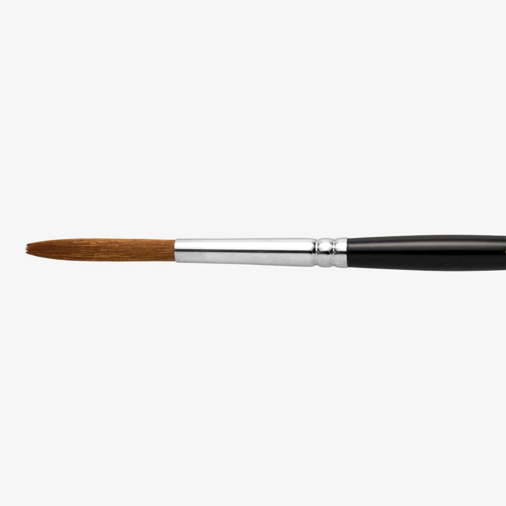 Pro Arte - Series 10 - Prolene Signwriter Brush - 8