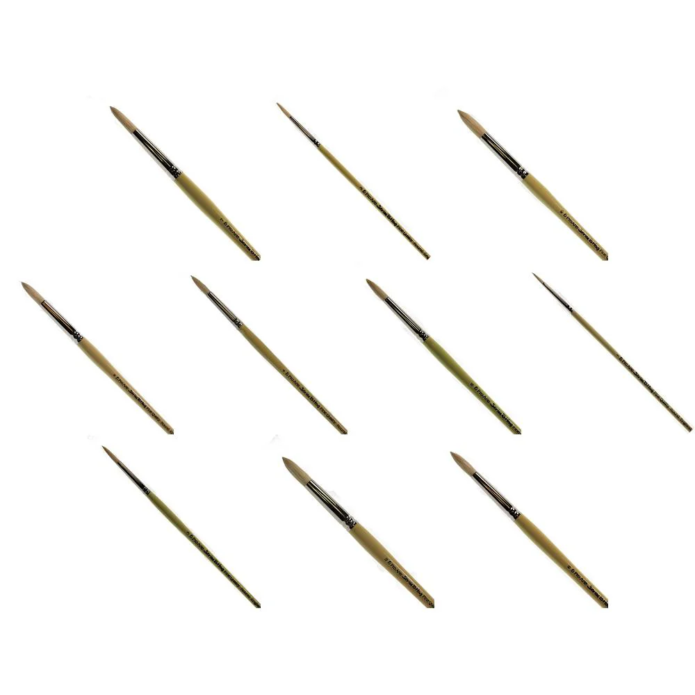 Pro Arte - Series B - Finest Quality Hog Brushes- Round