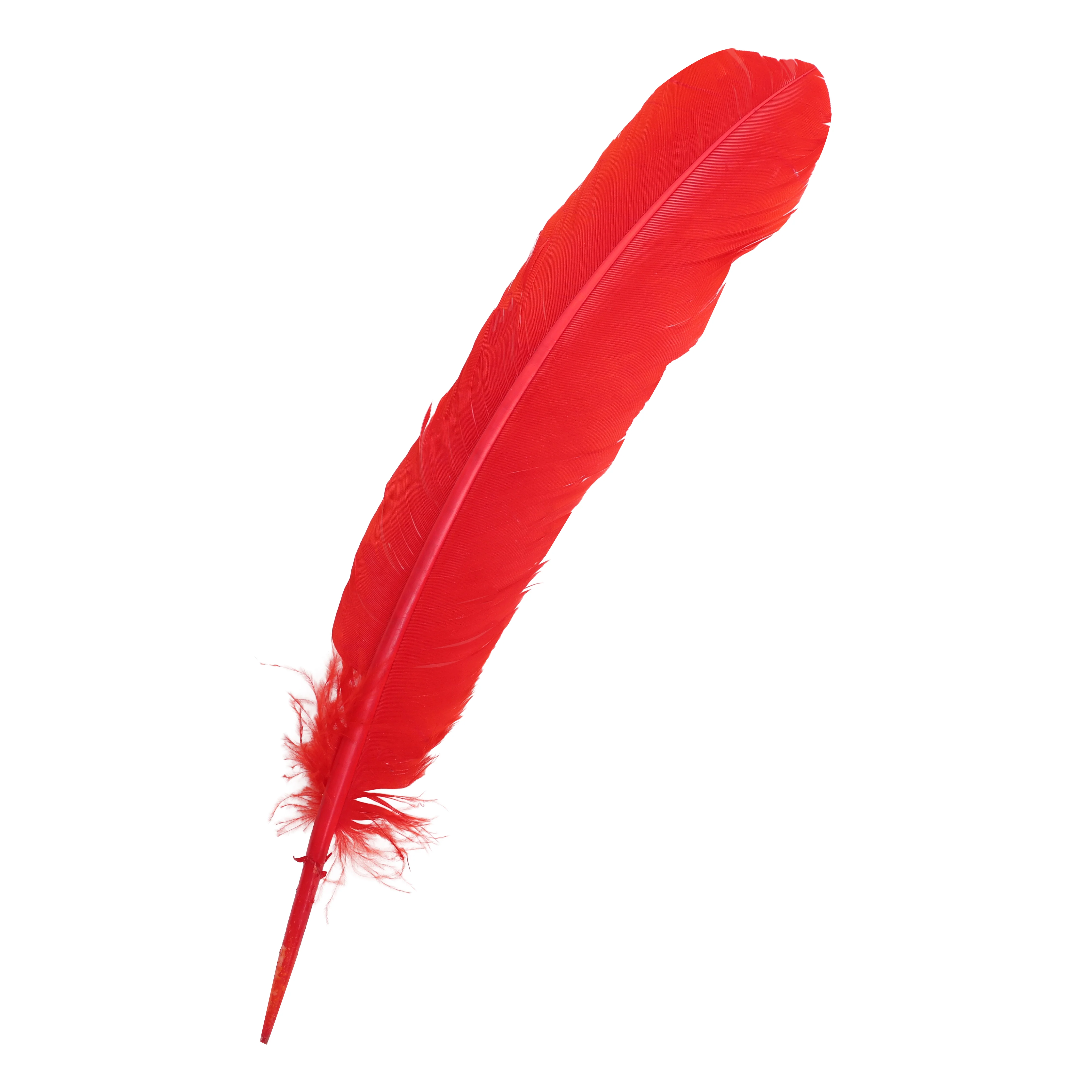 Quill Feathers 12 Pk - Image 5