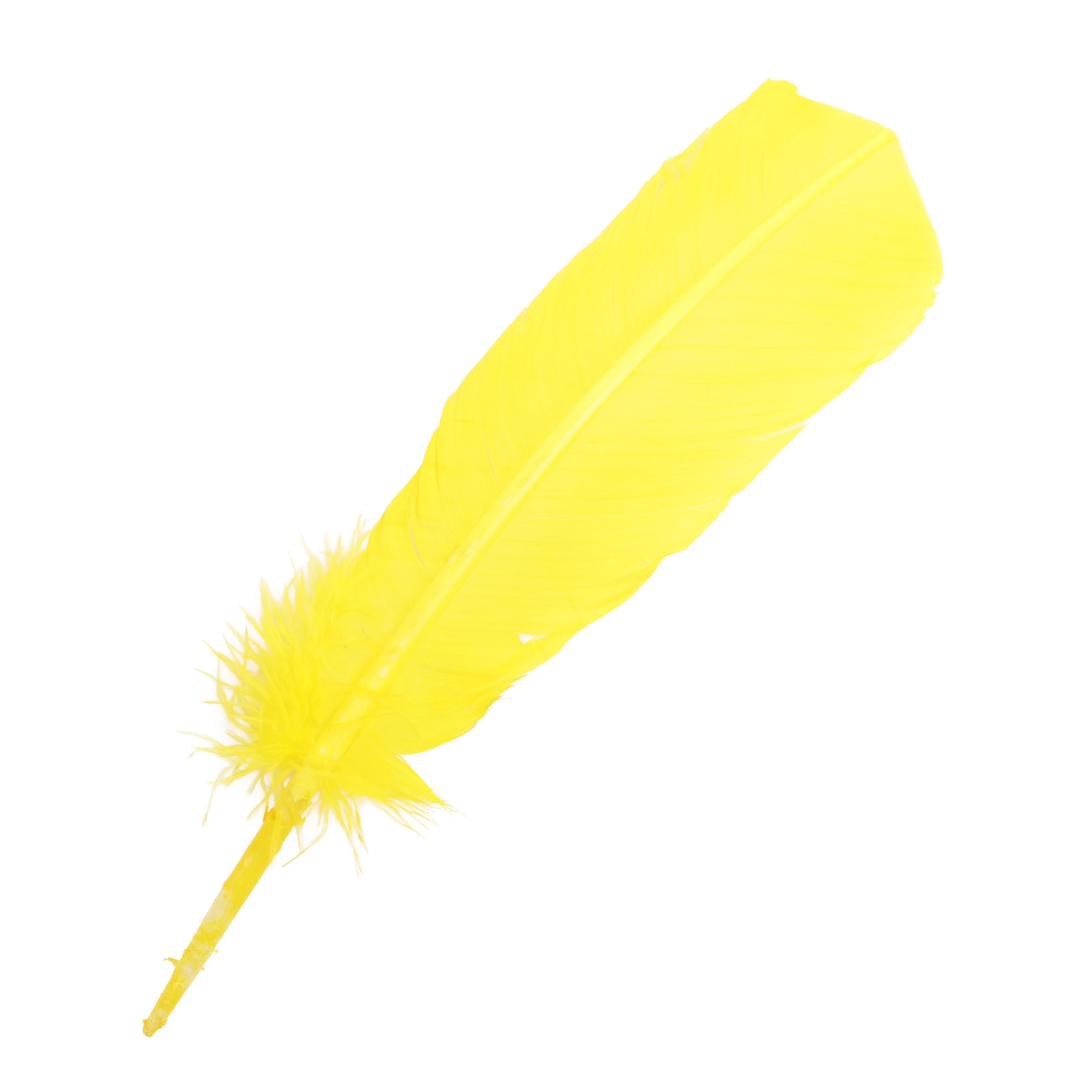 Quill Feathers 12 Pk - Image 7