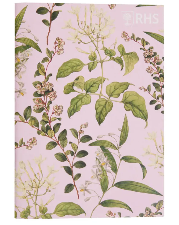 RHS Edwards Sketchbook 3 Pack A5 - Image 3