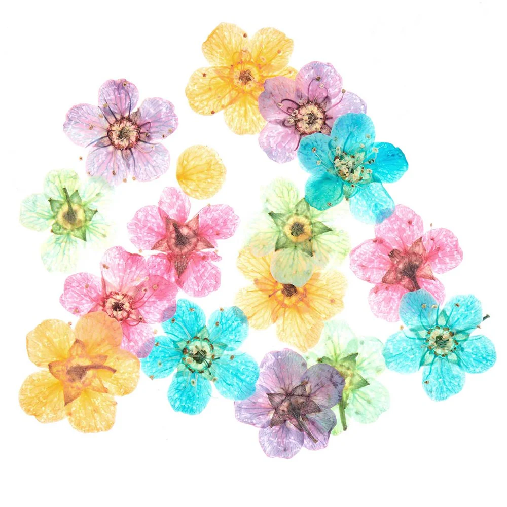 Resin Filling Dried Flowers Colour Mix 5pk