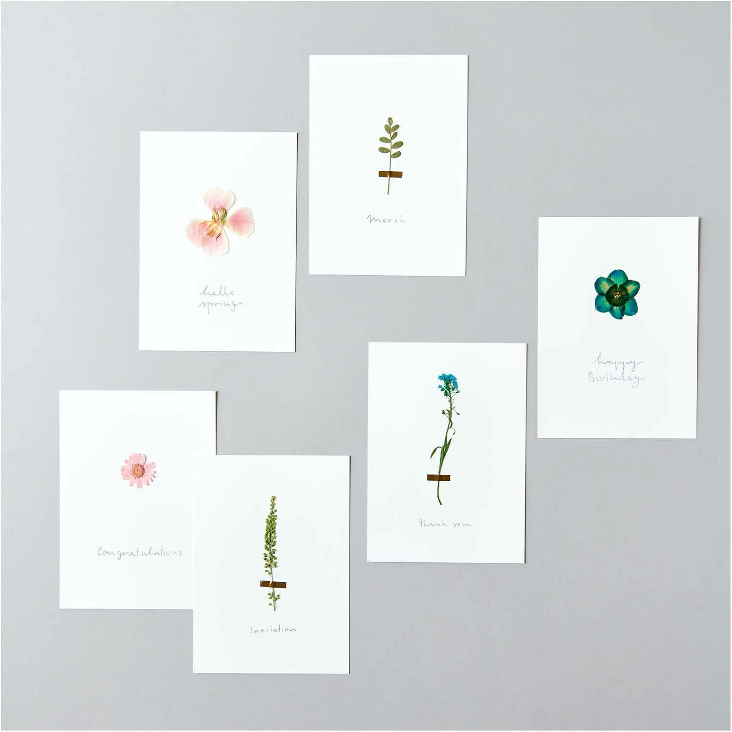 Rico Pressed Plants - Image 7