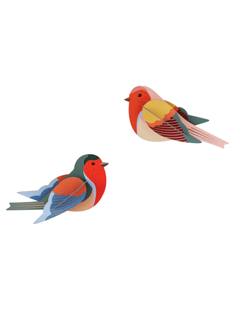 Studio Roof: Wall Art Robins - Image 2