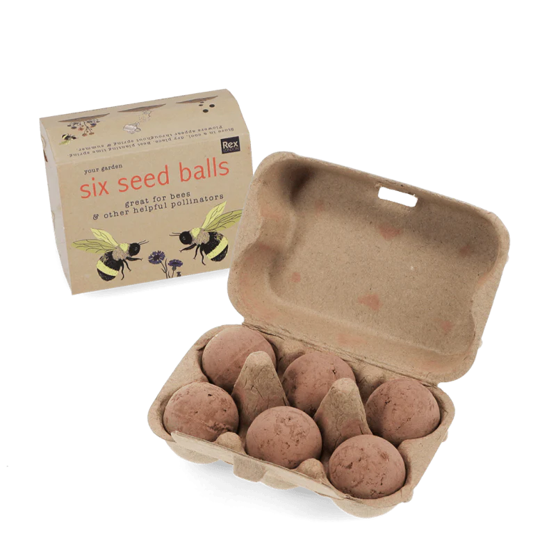 Seed balls (box of 6)