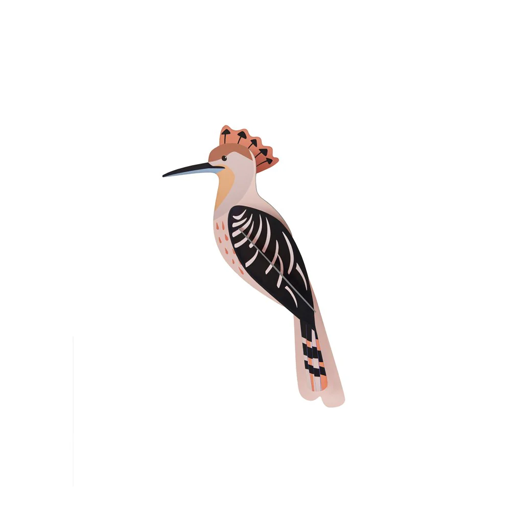 Studio Roof Garden Bird - Hoopoe - Image 2