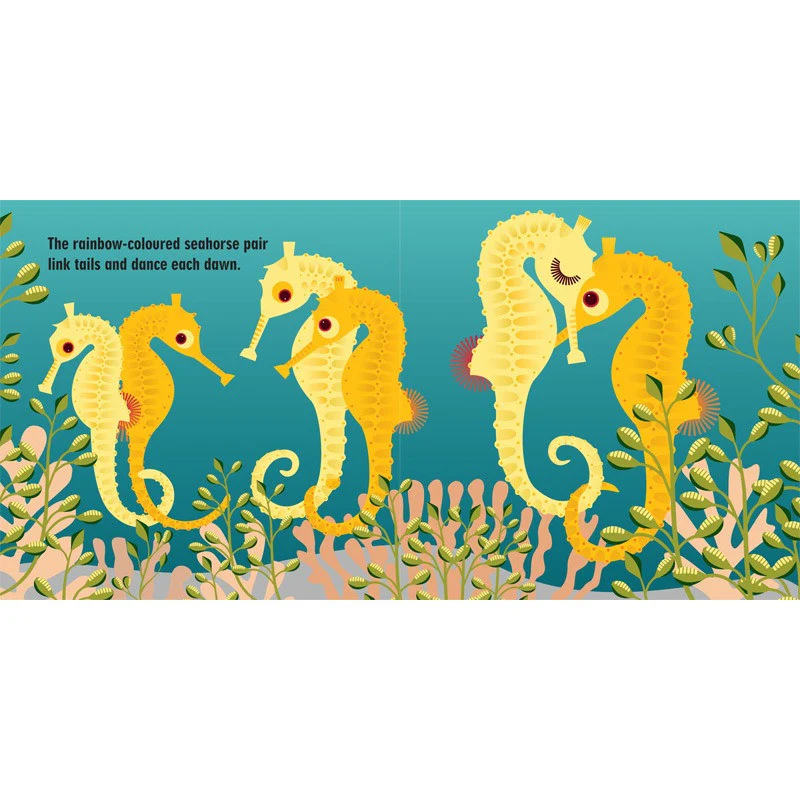 Mibo: The Marine Team - Hardback Activity Edition - Image 5