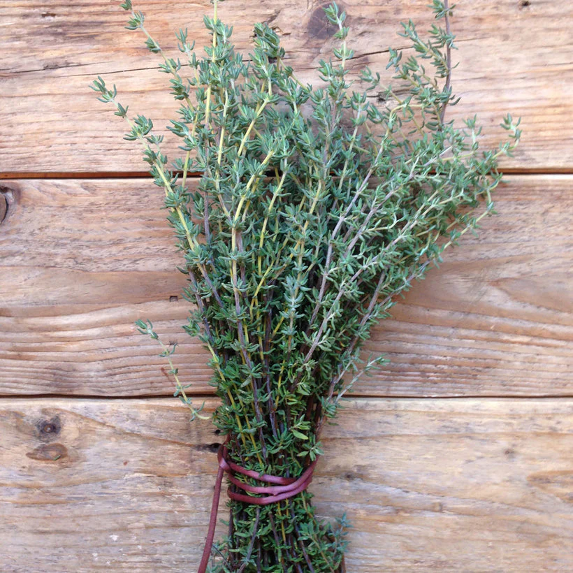Seed Collection: Thyme de Provence - Image 2