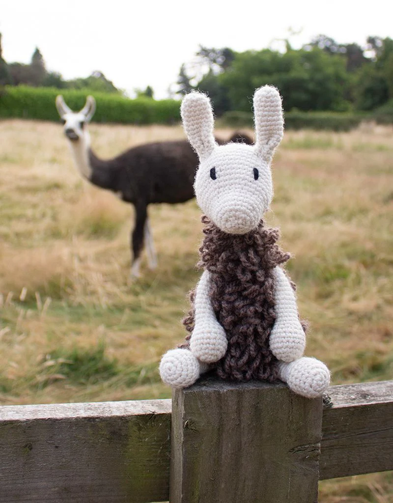 Archie the Llama Kit - Image 2