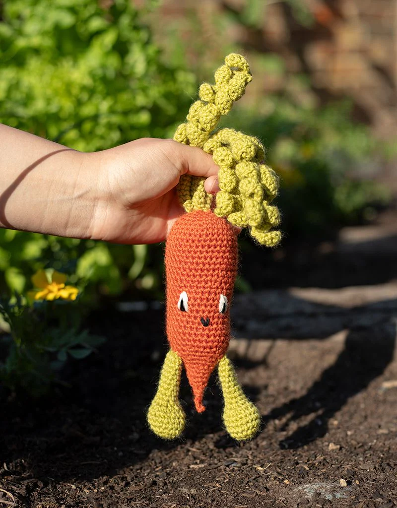 Chantenay Carrot Kit - Image 2