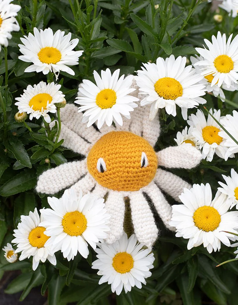 Crochet Your Own Daisy Kit - Image 2