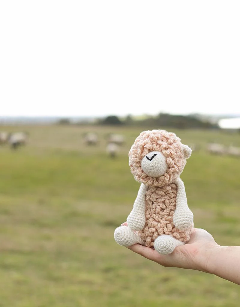 Everett the Romney Sheep Kit - Image 2