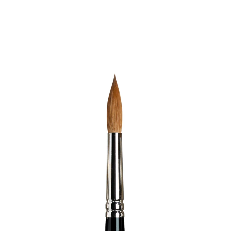 W&N Kolinsky Sable Brushes - Image 12