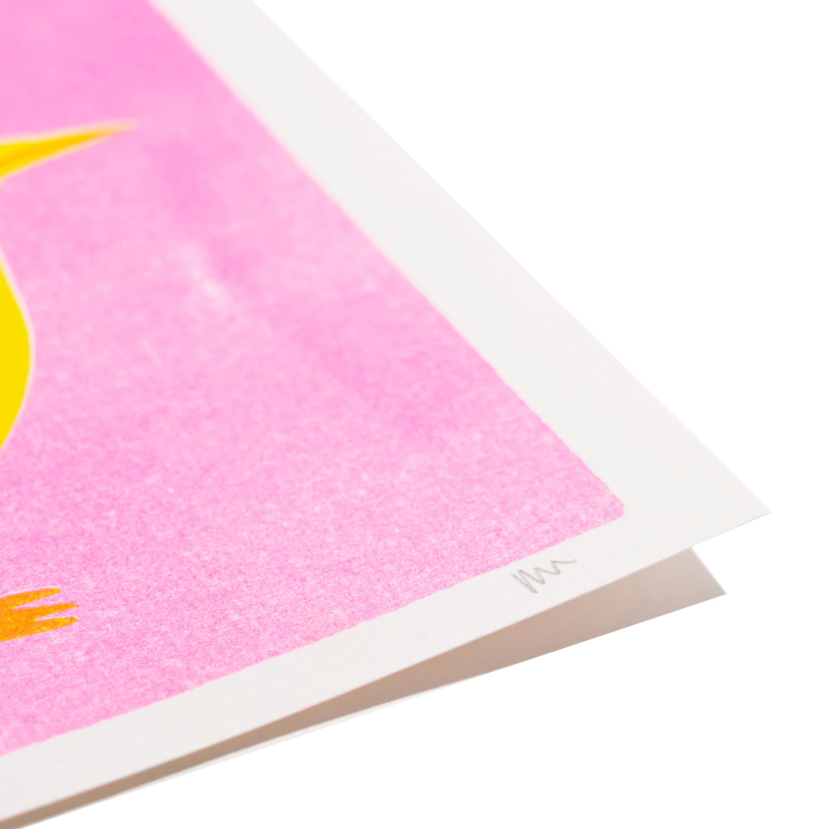Wren Print - Image 3